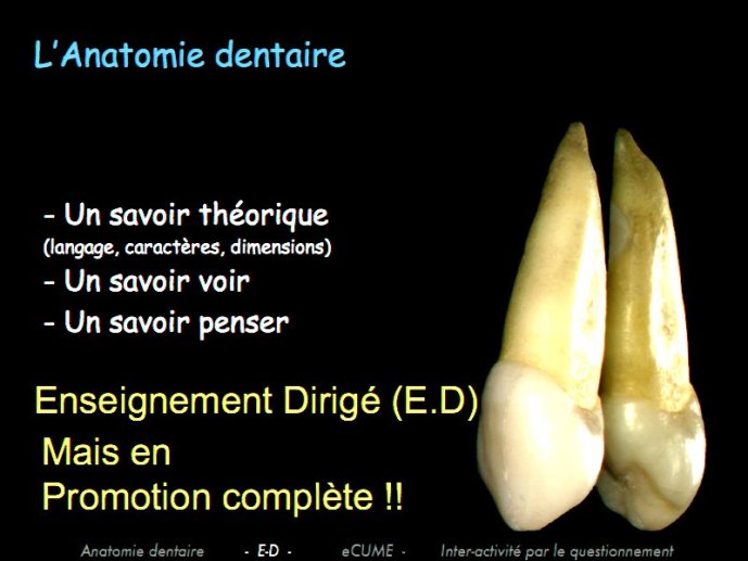 slide_0023_full