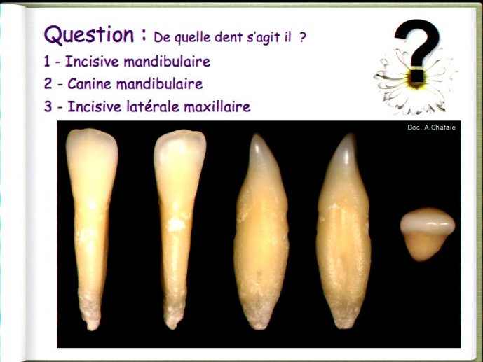 slide_0038_full