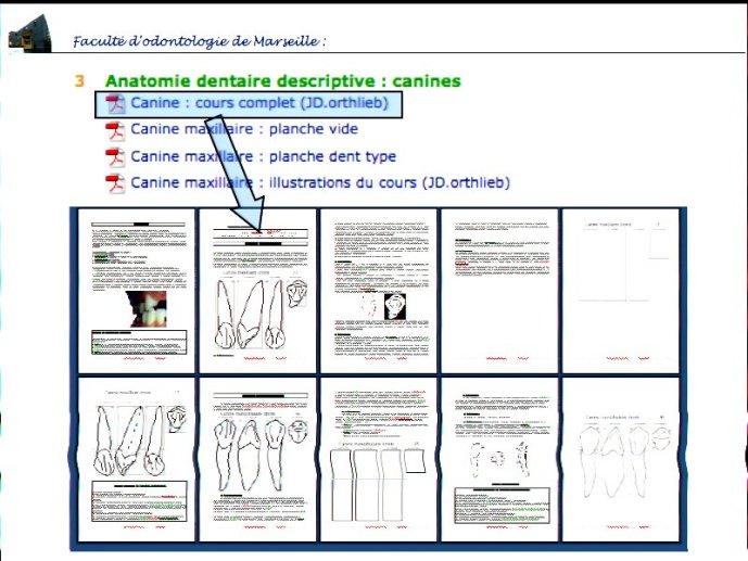 slide_0046_full