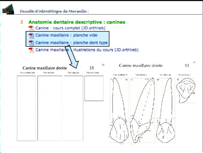 slide_0050_full