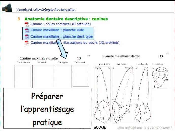 slide_0051_full