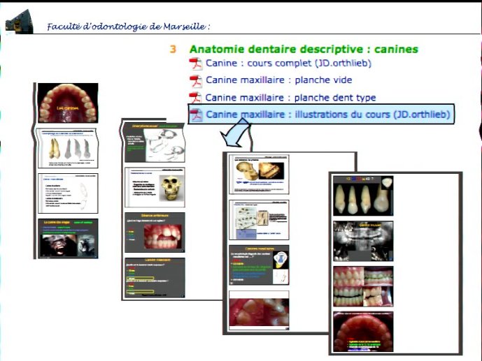 slide_0053_full
