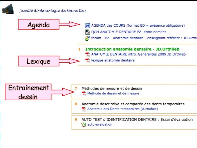 slide_0058_full