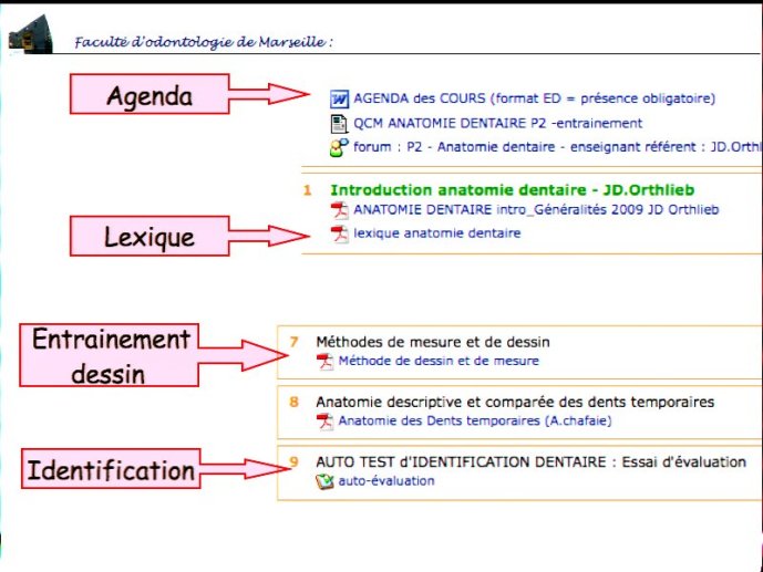 slide_0059_full