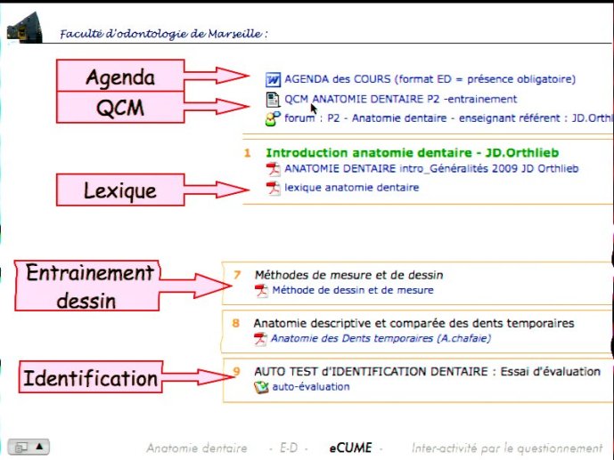 slide_0060_full