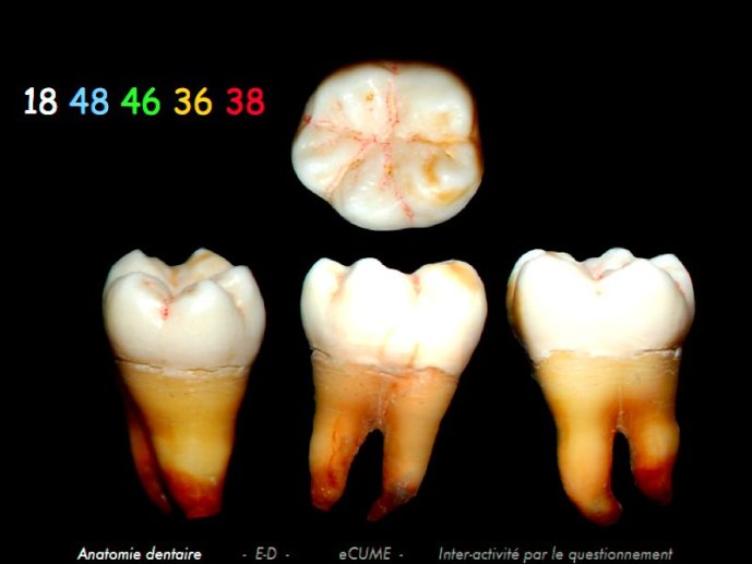slide_0062_full