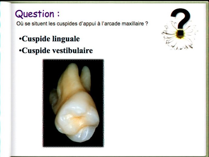 slide_0066_full