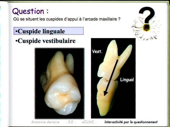 slide_0067_full