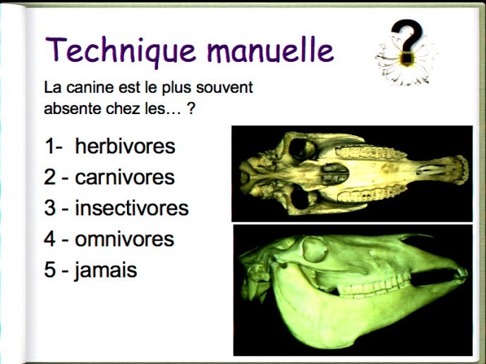 slide_0070_full