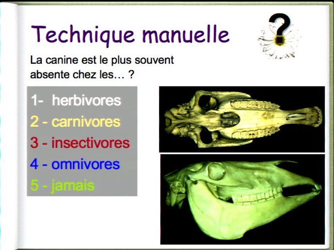 slide_0071_full