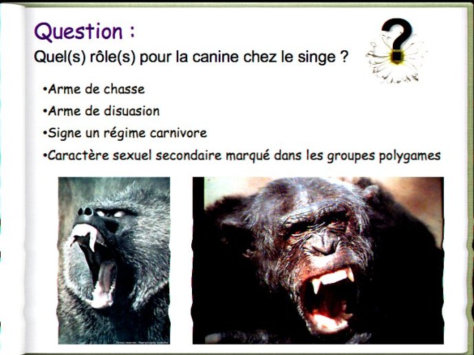slide_0075_full