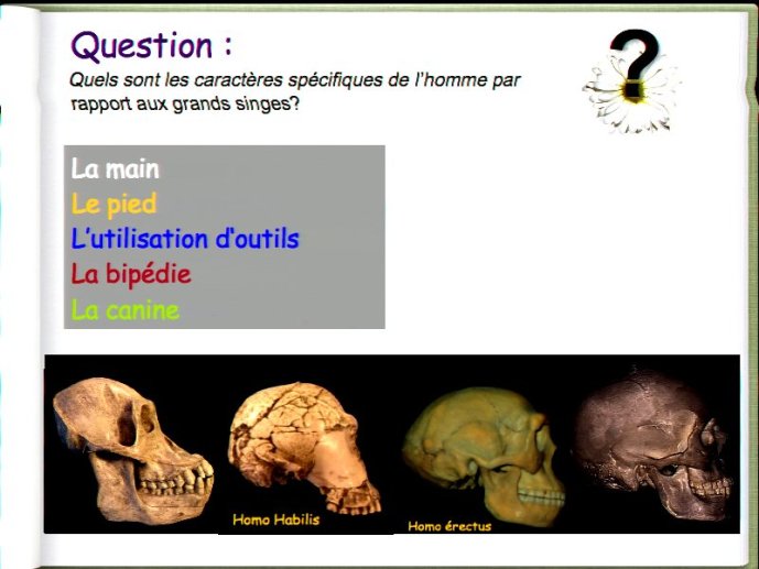 slide_0077_full