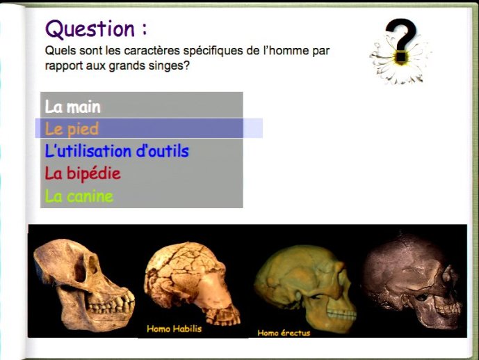 slide_0078_full