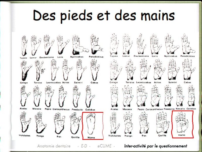 slide_0079_full