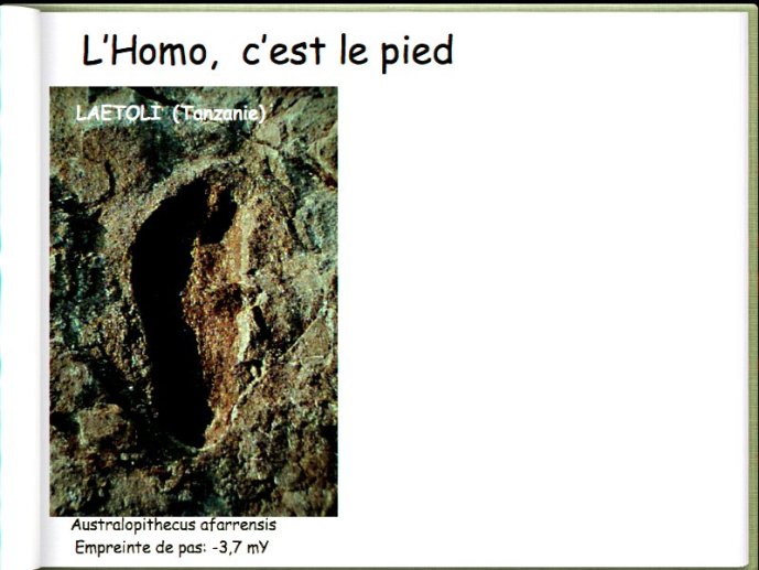 slide_0080_full