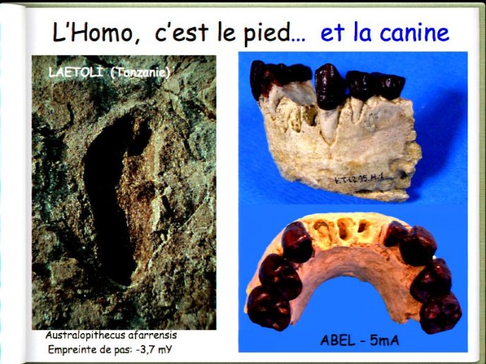 slide_0081_full