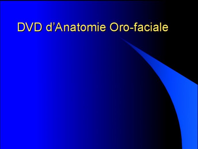 slide_0226_full