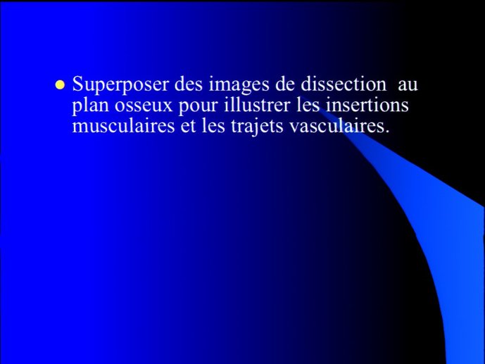 slide_0233_full
