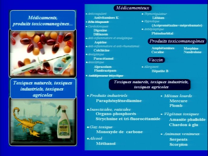 slide_0115_full