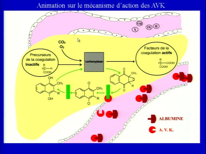 slide_0140_full