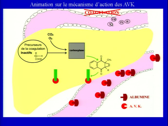 slide_0147_full