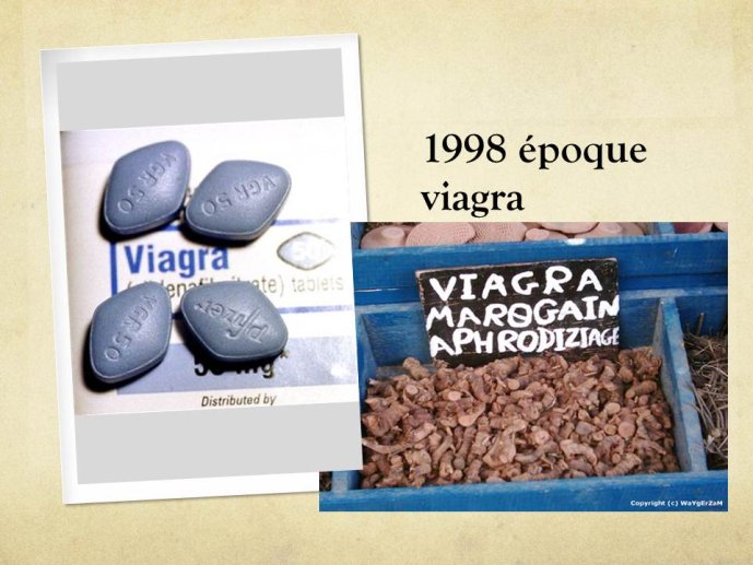 Diapositive32