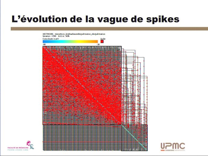 slide_0051_full