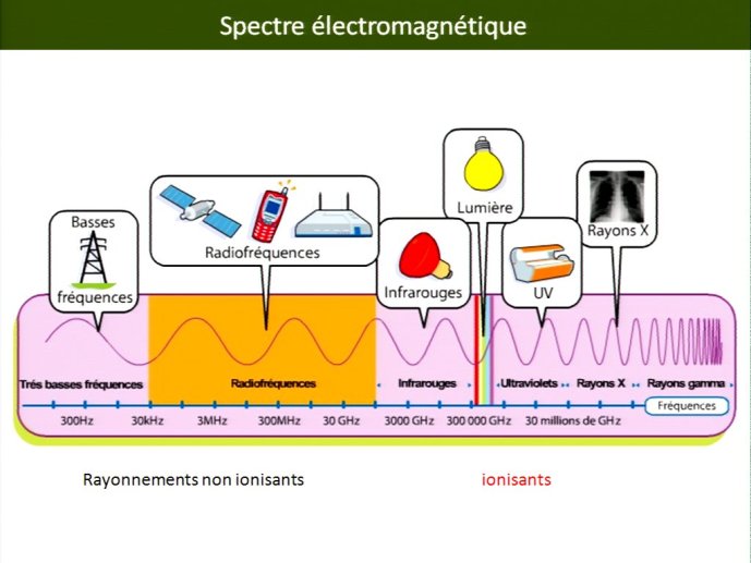 slide_0006_full