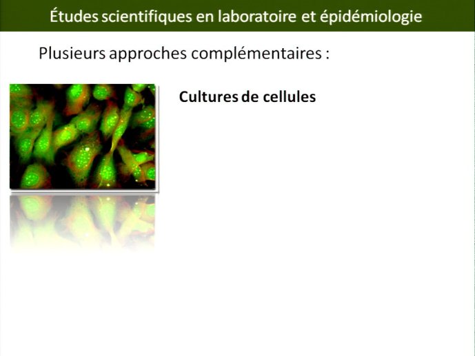 slide_0012_full