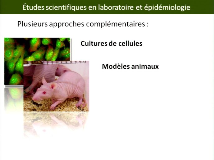 slide_0013_full