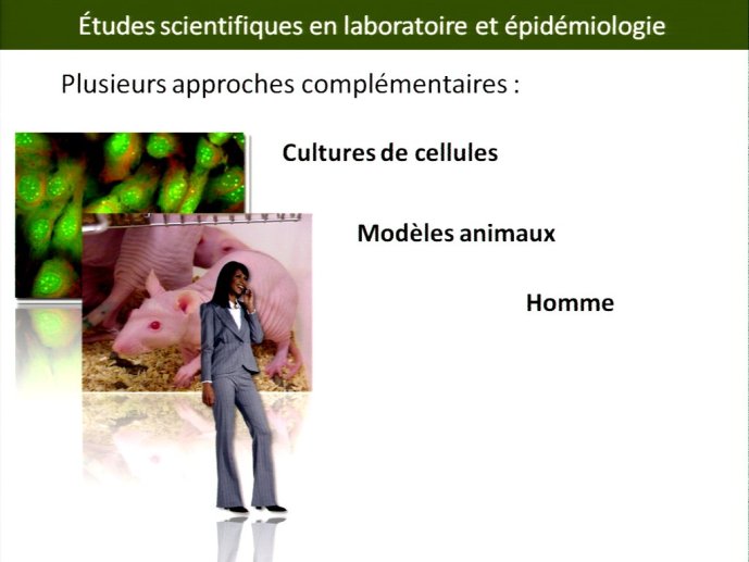 slide_0014_full