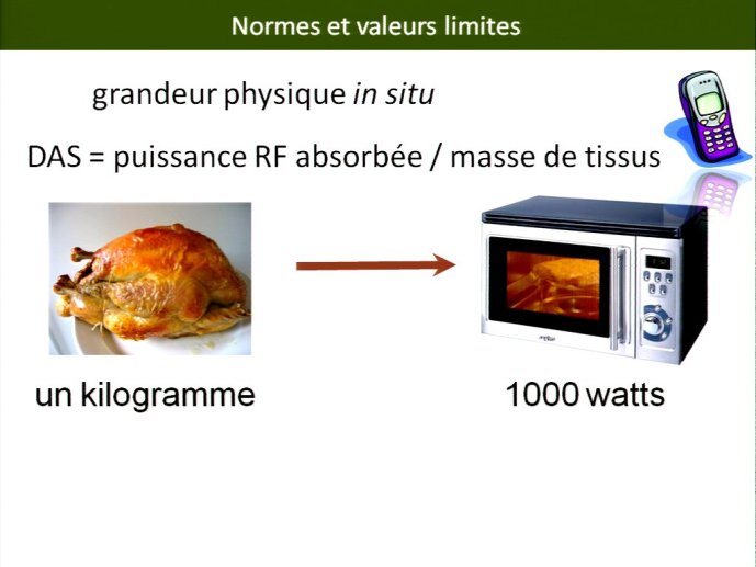 slide_0031_full