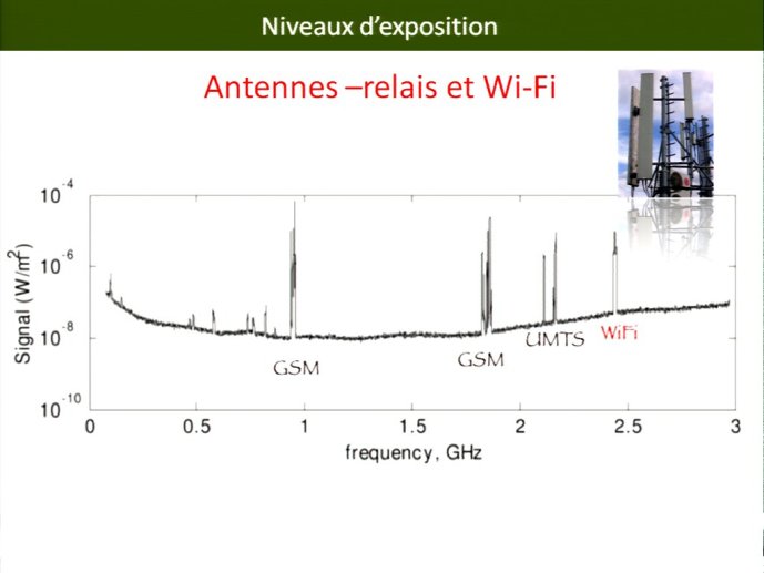 slide_0041_full