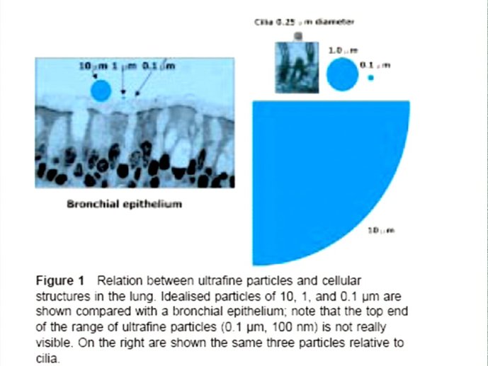 slide_0006_full