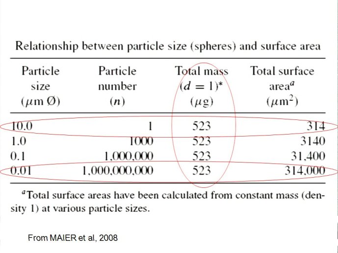 slide_0007_full