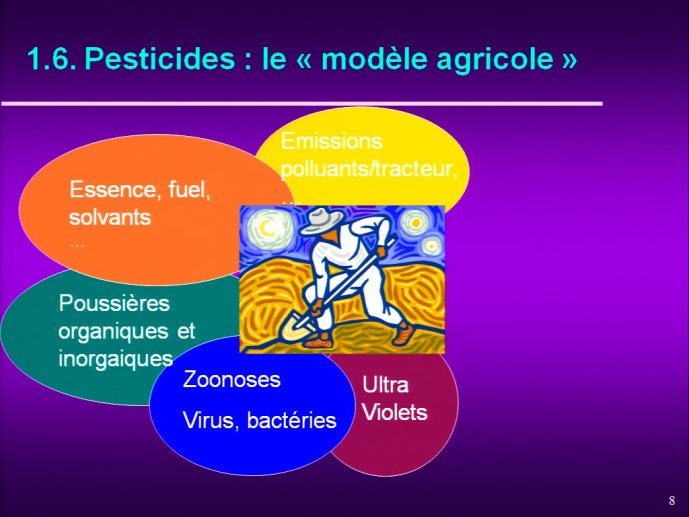 slide_0008_full