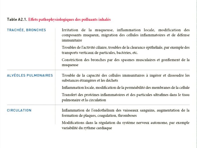 slide_0011_full