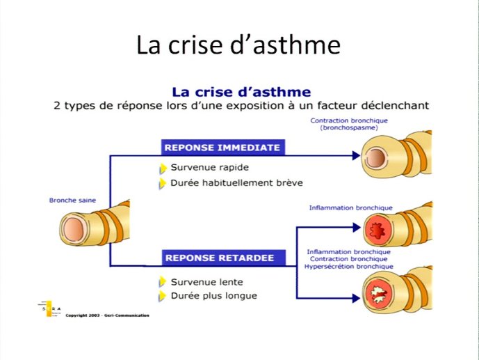 slide_0012_full