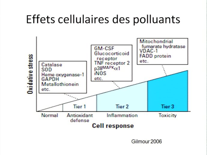 slide_0014_full
