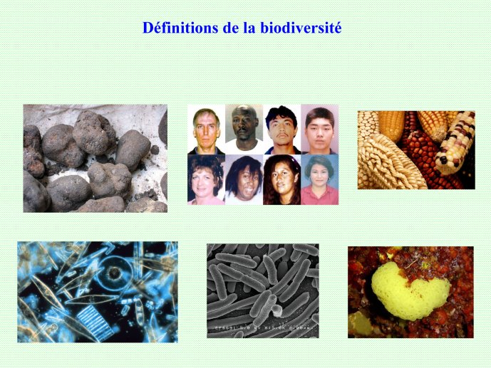 Rabet_Boulogne_2011_02
