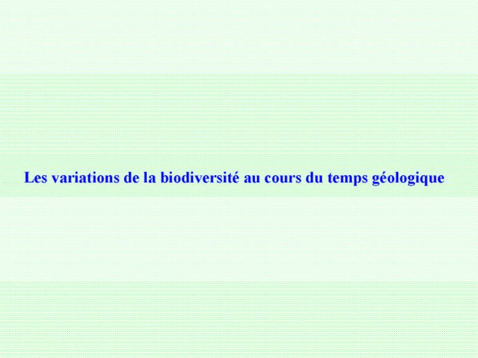 Rabet_Boulogne_2011_15