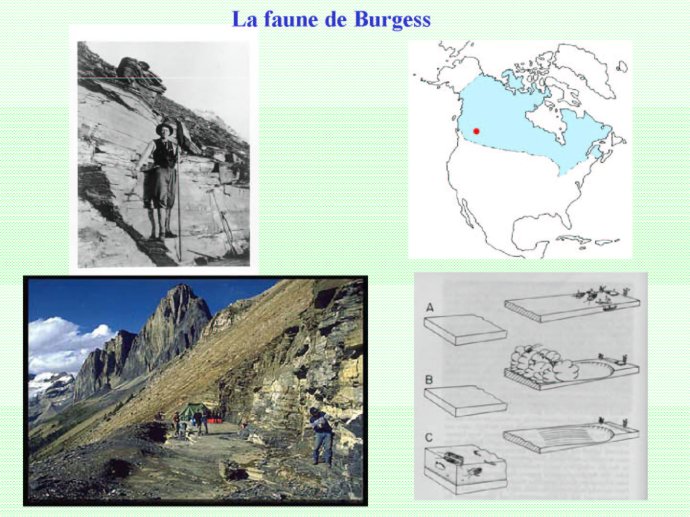 Rabet_Boulogne_2011_16