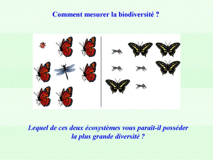 Rabet_Boulogne_2011_07