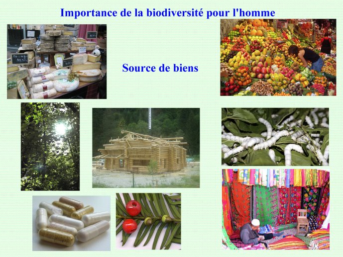 Rabet_Boulogne_2011_08