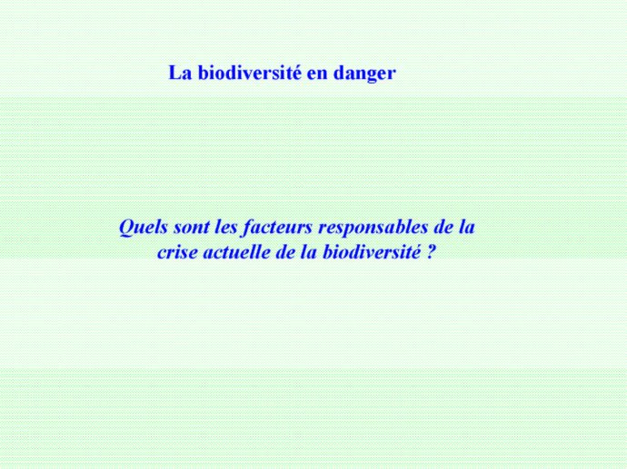 Rabet_Boulogne_2011_24