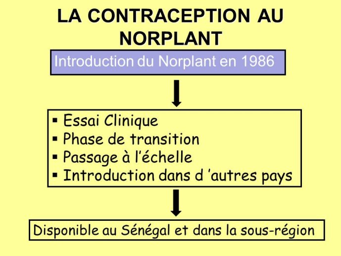 Diapositive21