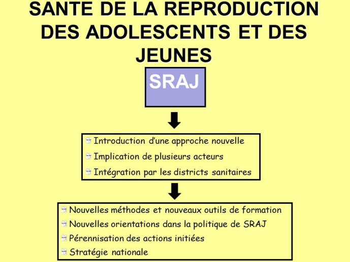 Diapositive23