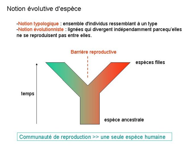 Diapositive10