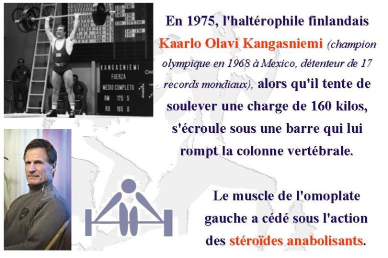 Diapositive31