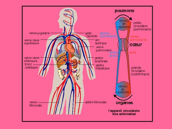 Diapositive27